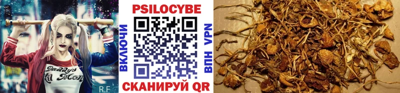 закладки  Красногорск  Галлюциногенные грибы Magic Shrooms 