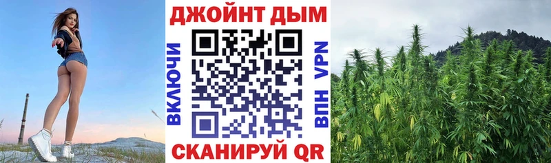 Шишки марихуана OG Kush  darknet как зайти  Красногорск 